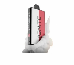 Descart�vel Ignite V400 Mix 40K PUFFS